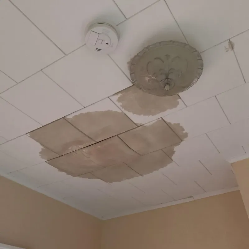 Ceiling Water Damage Repair in Glyndon, MN