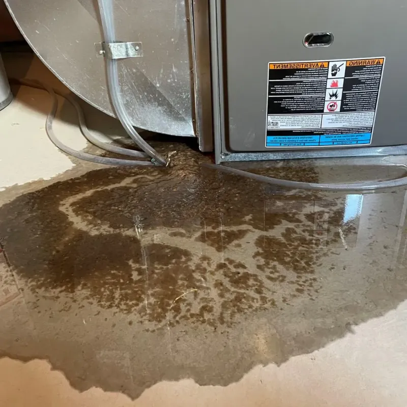 Pipe Burst and Leak Restoration in Glyndon, MN